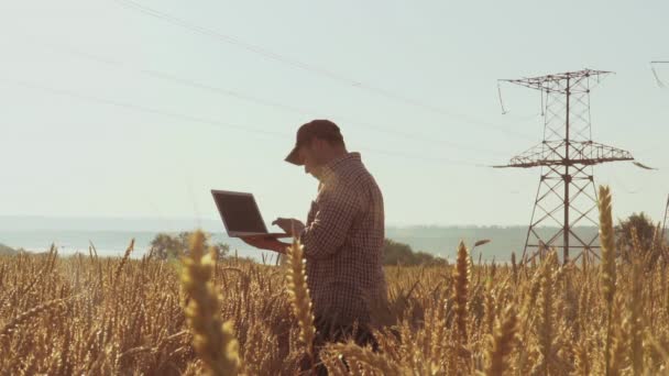 Agricultor trabaja en el campo con una computadora portátil, observando el crecimiento del trigo — Vídeos de Stock