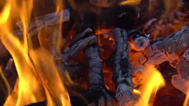 Vue rapprochée des charbons brûlants avec feu — Video