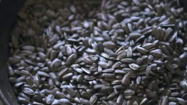 As sementes de girassol fritam-se em uma panela, comida close-up — Vídeo de Stock