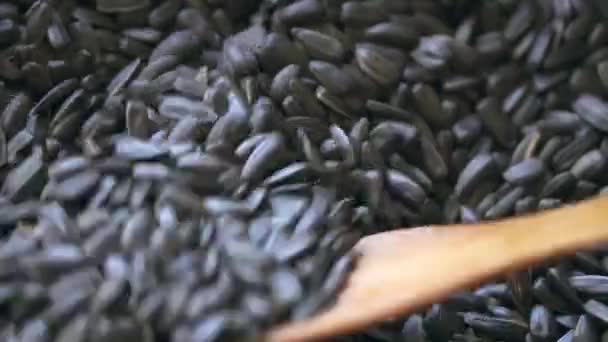 Les graines de tournesol sont frites dans une poêle, Gros plan sur la nourriture — Video