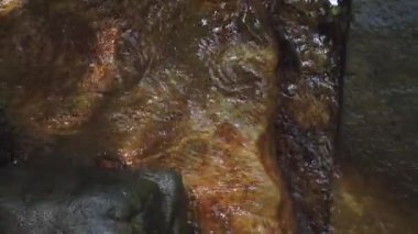 Mountain Creek. Vahşi bir ormanda su taşların üzerinden akar. Yukarıdan görüntüle 