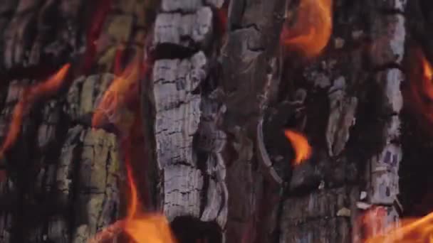 Gros plan des grumes brûlantes au charbon et au bois englouties dans les flammes — Video
