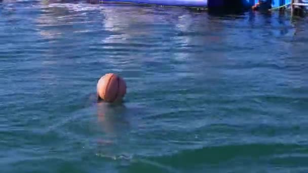 Golfinho joga com uma bola na água do mar. Golfinhos engraçados jogar na água. Espetáculo de golfinhos — Vídeo de Stock