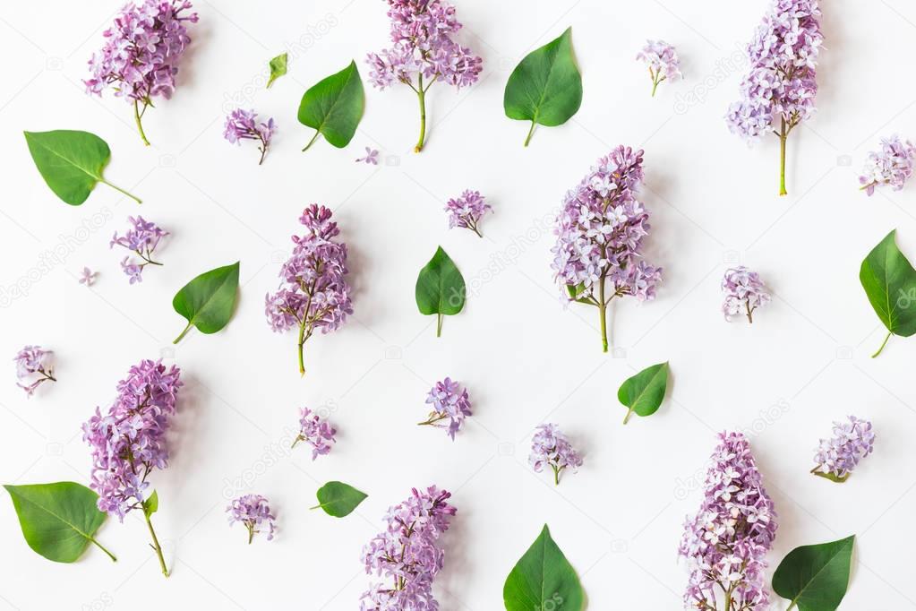  pattern made of lilac flowers