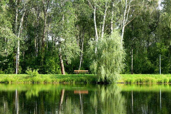 Lonely bench in a park by the lake. The green area is reflected in the water