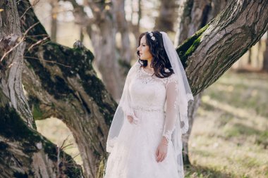 Harika düğün günü