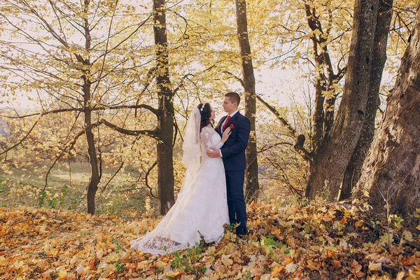 Wonderful wedding day — Stock Photo, Image