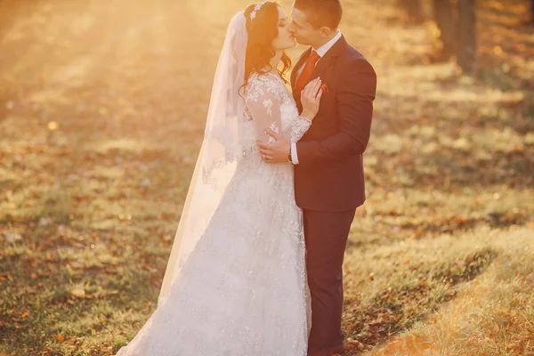 Maravilloso día de boda — Foto de Stock