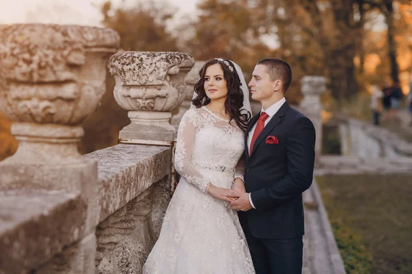 Wonderful wedding day — Stock Photo, Image