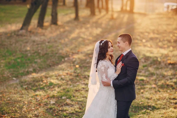 Maravilhoso dia do casamento — Fotografia de Stock