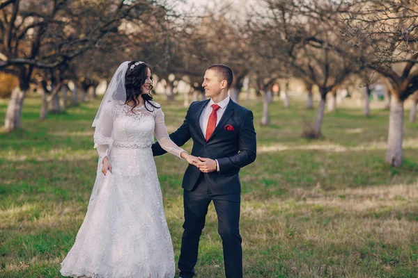 Maravilloso día de boda — Foto de Stock