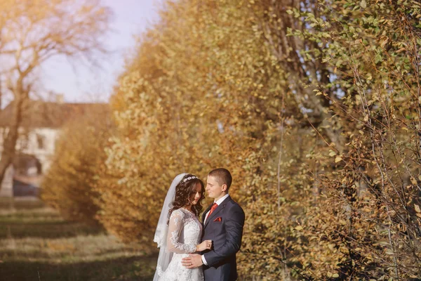 Maravilloso día de boda —  Fotos de Stock