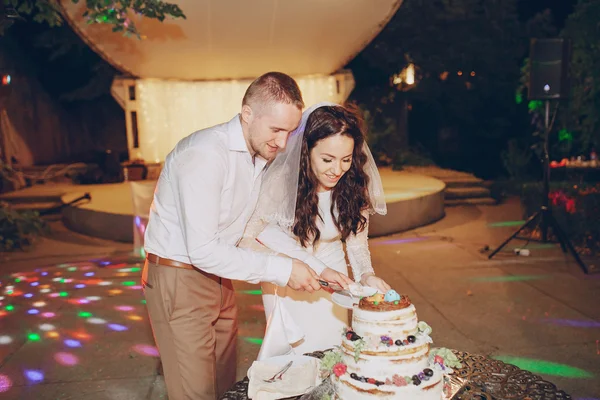 Düğün pastasını kesiyorum. — Stok fotoğraf