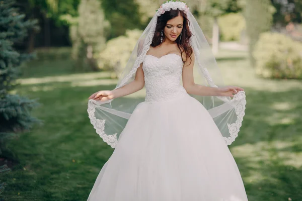 Magical festive wedding day — Stock Photo, Image