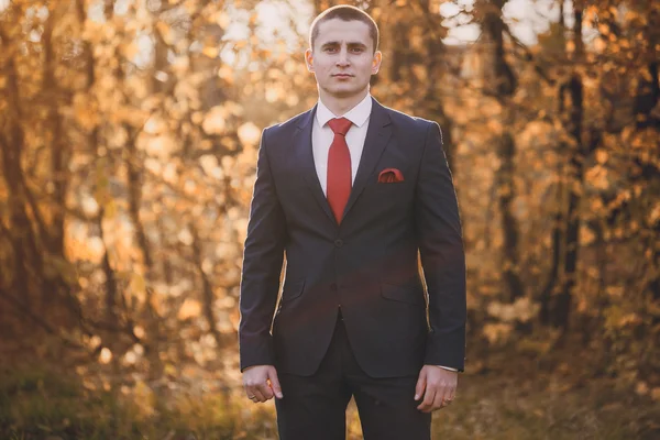 Maravilloso día de boda — Foto de Stock