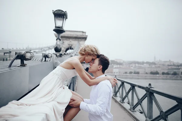 Wedding day in Budapest — Stock Photo, Image