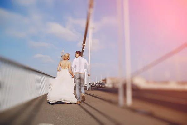 Dia do casamento em Budapeste — Fotografia de Stock