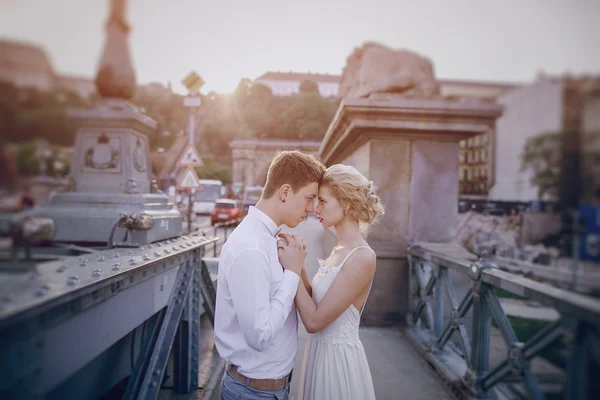 Día de la boda en Budapest —  Fotos de Stock