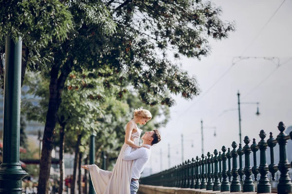 Wedding day in Budapest — Stock Photo, Image