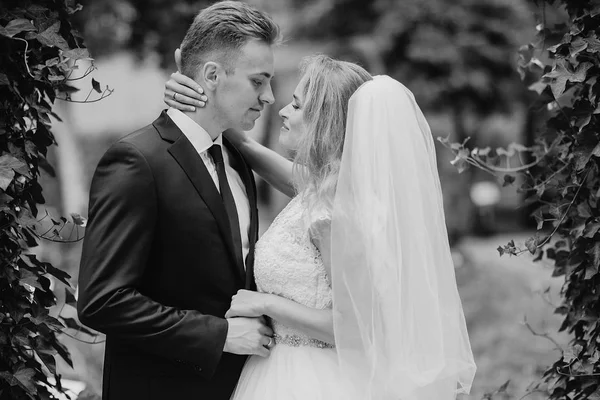 Día de la boda en Odessa — Foto de Stock