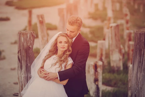 Dia do casamento em odessa — Fotografia de Stock