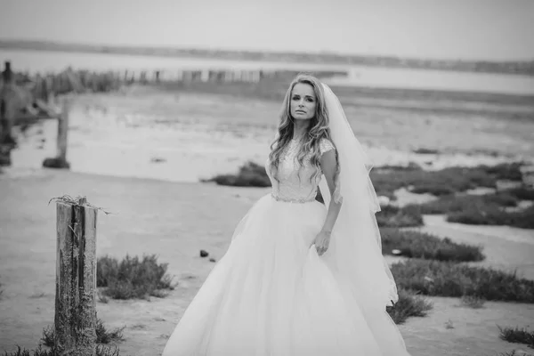 Giorno del matrimonio a odessa — Foto Stock