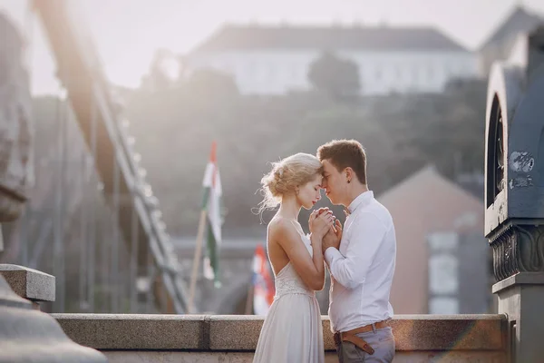 Svatební den v Budapešti — Stock fotografie