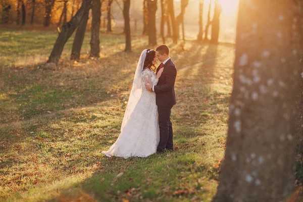 素敵な結婚式の日 — ストック写真