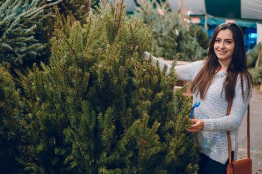 kız ve Noel ağacı