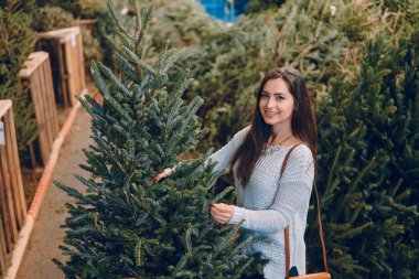 kız ve Noel ağacı