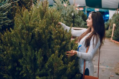 kız ve Noel ağacı