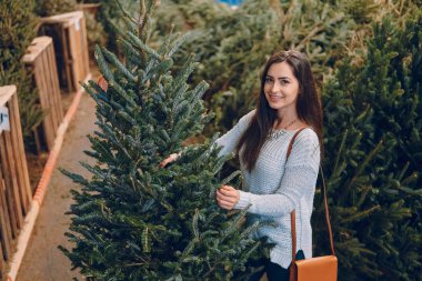 kız ve Noel ağacı