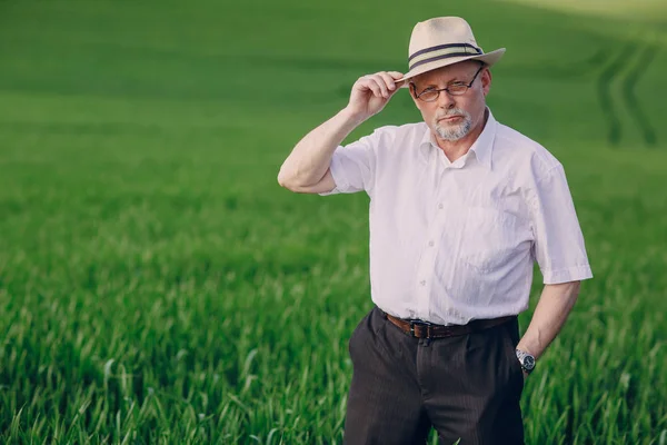 Old man in field — Stock Photo, Image