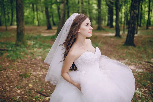 Sposa nella foresta — Foto Stock