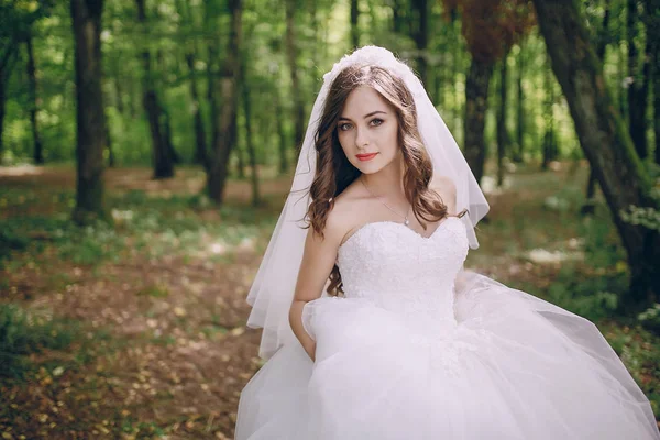 Bride in the forest — Stock Photo, Image