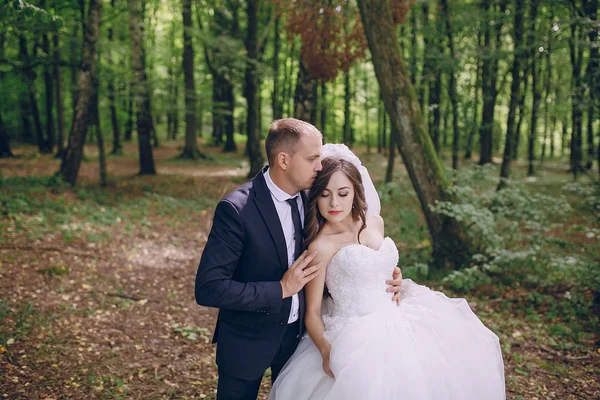 Pareja enamorada —  Fotos de Stock