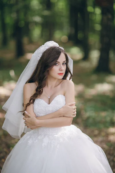 Bride in the forest — Stock Photo, Image