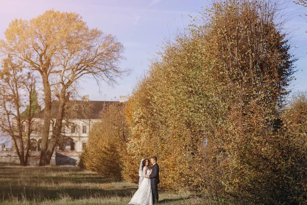 Wunderbarer Hochzeitstag — Stockfoto