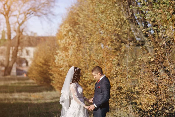 Maravilloso día de boda —  Fotos de Stock