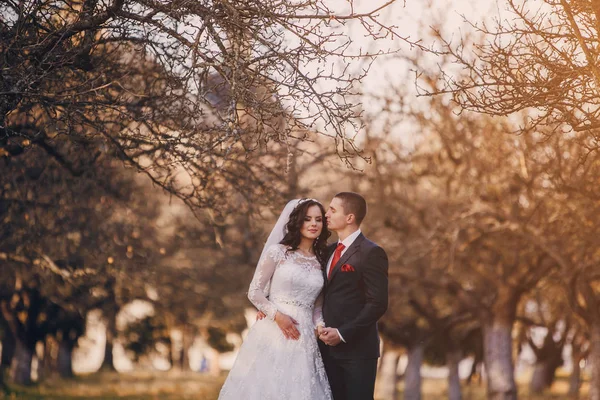 Wonderful wedding day — Stock Photo, Image