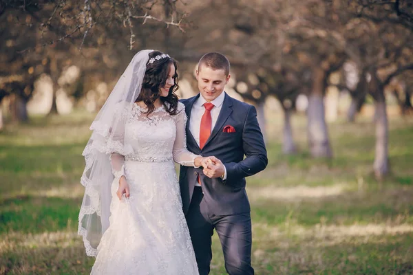 Wonderful wedding day — Stock Photo, Image