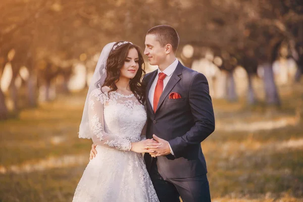 Maravilloso día de boda —  Fotos de Stock