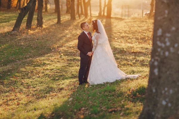 素敵な結婚式の日 — ストック写真