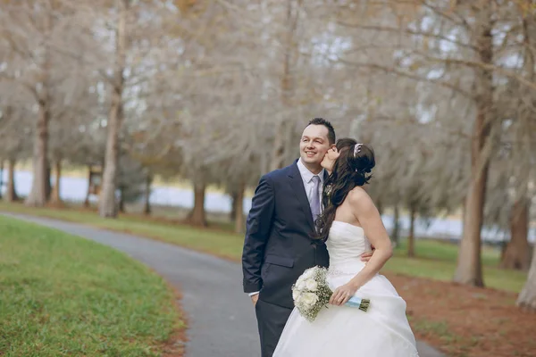 Meraviglioso giorno del matrimonio — Foto Stock