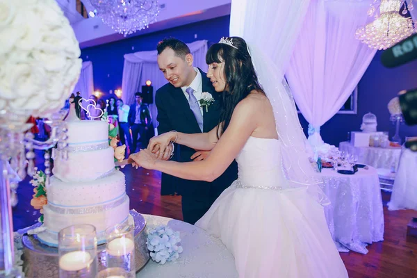 Maravilloso día de boda — Foto de Stock