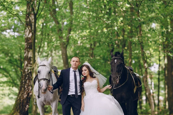 Couple avec chevaux — Photo