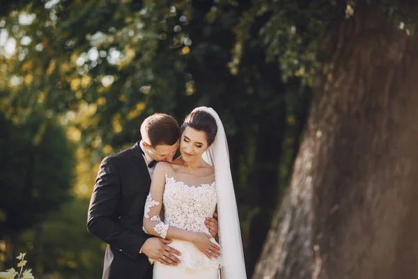 Stock image bride and groom