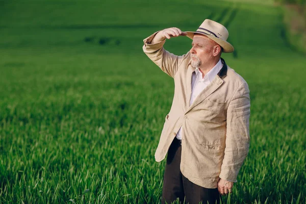 Старик в поле — стоковое фото