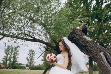 Gelin çiçekleri ile