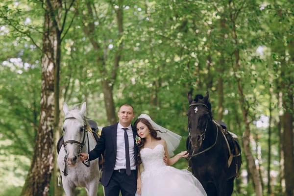 Couple with horses — Stock Photo, Image